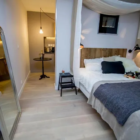 Appartement Loft Bordeaux